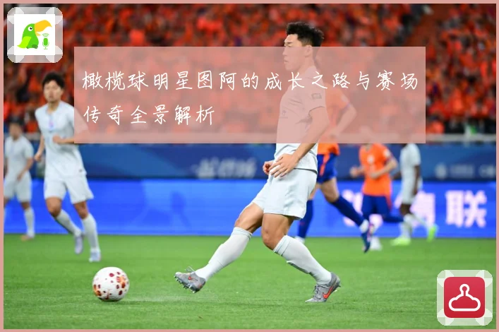 橄榄球明星图阿的成长之路与赛场传奇全景解析
