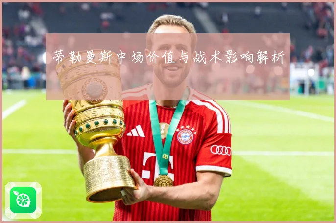 蒂勒曼斯中场价值与战术影响解析